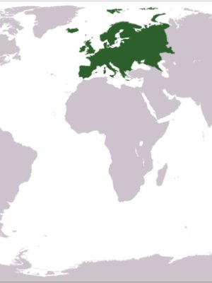 Illustration:Europe [en]