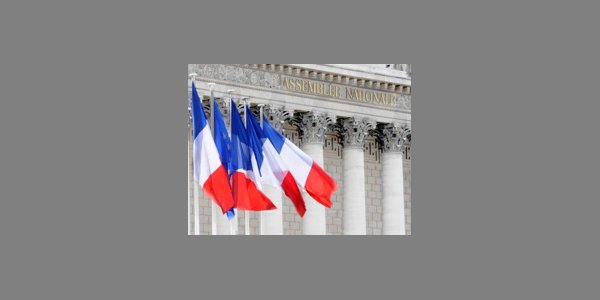 Image:Idées pour une constitution démocratique