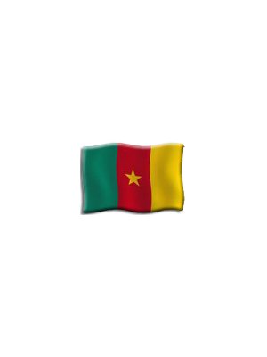 Illustration:Info Cameroun
