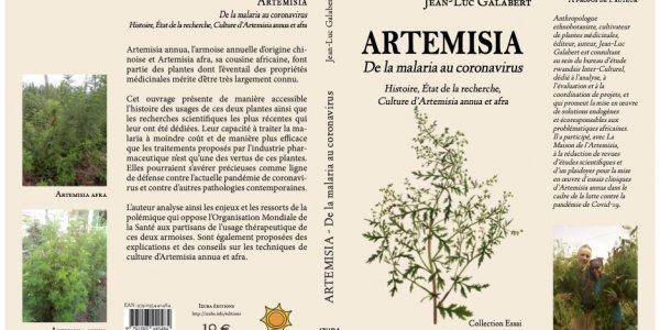 Image:L'Artemisia, pour lutter contre la malaria… et le coronavirus